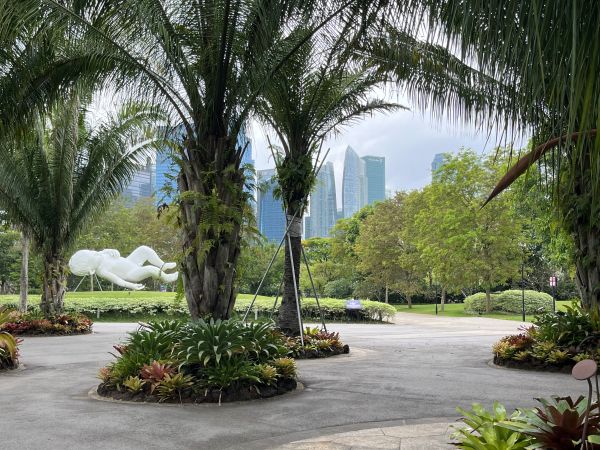 Gardens by the bay