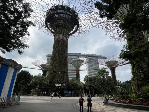 Gardens by the Bay - Supertrees