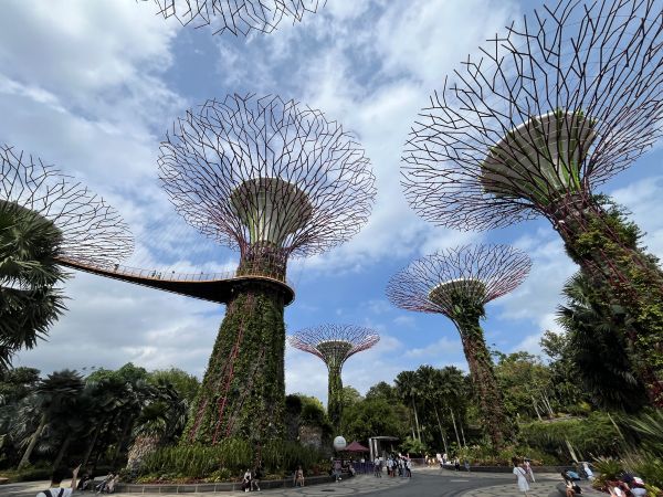 Gardens by the bay