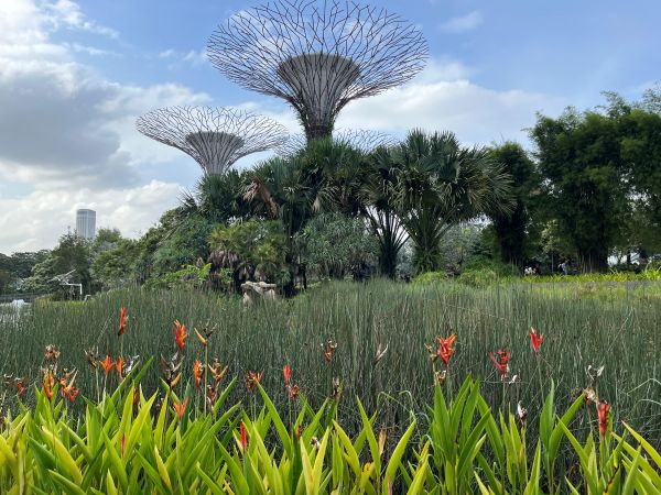Gardens by the bay