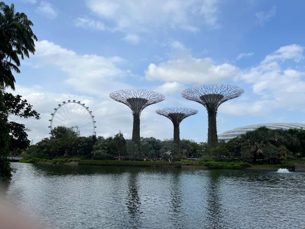 Supertrees