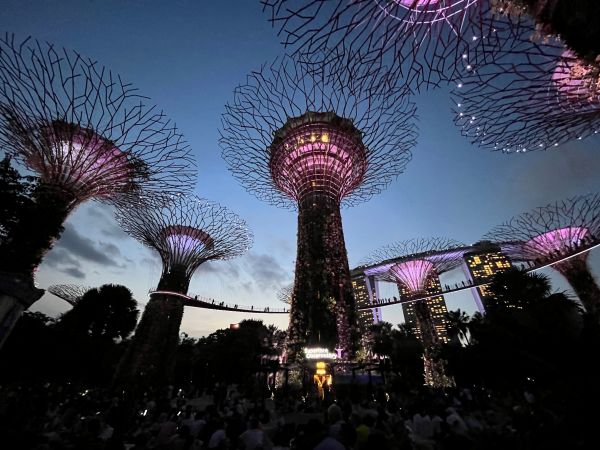 Supertrees by night