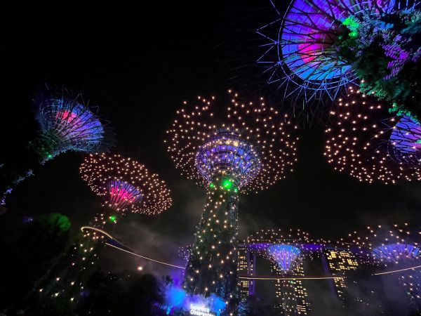 Supertrees by night