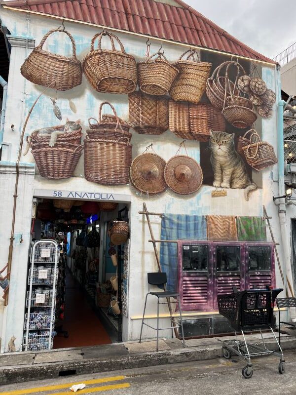 Kampong Glam (quartier arabe)