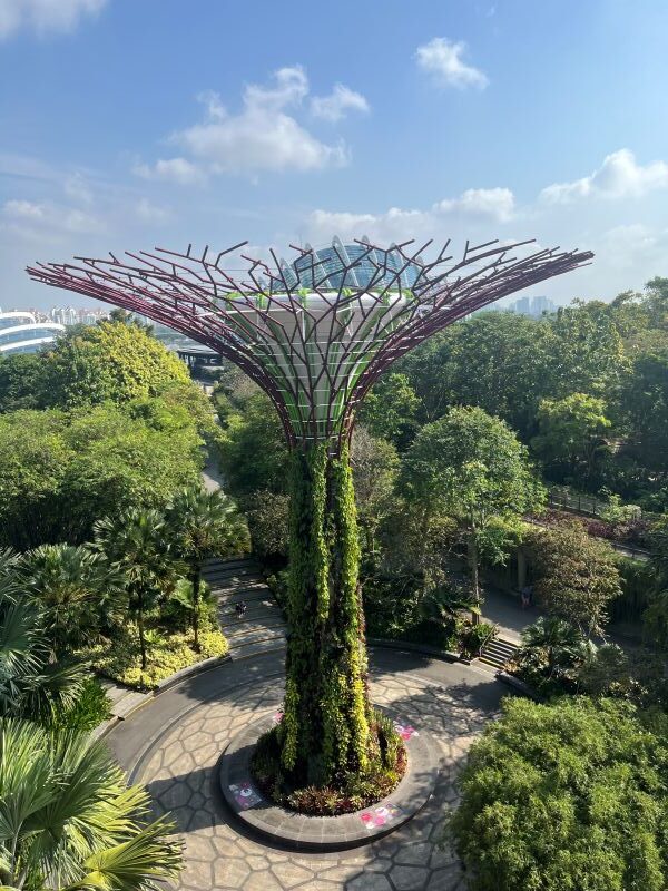 Supertrees