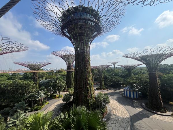 Gardens by the Bay - Supertrees