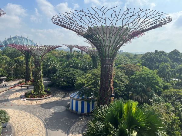 Supertrees