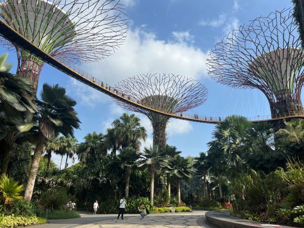 Gardens by the Bay - Supertrees