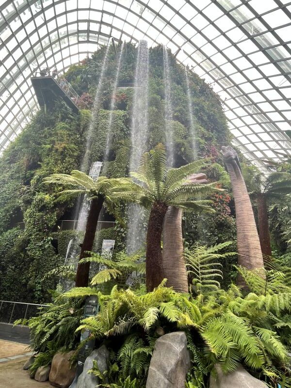 Cloud Forest - Jurassic
