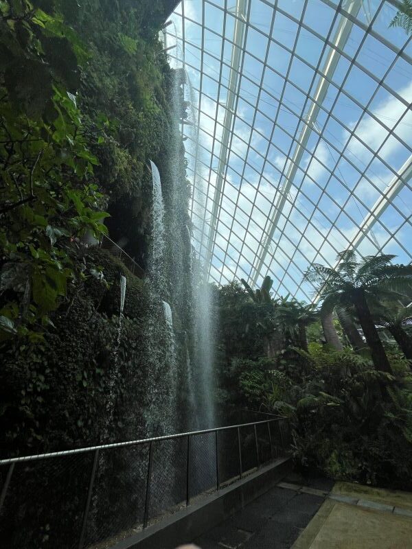 Cloud Forest - Jurassic