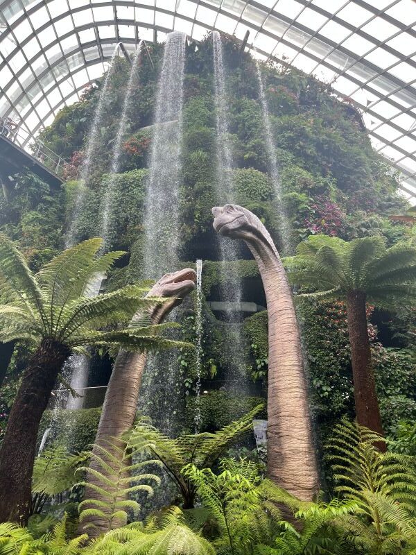 Cloud Forest - Jurassic
