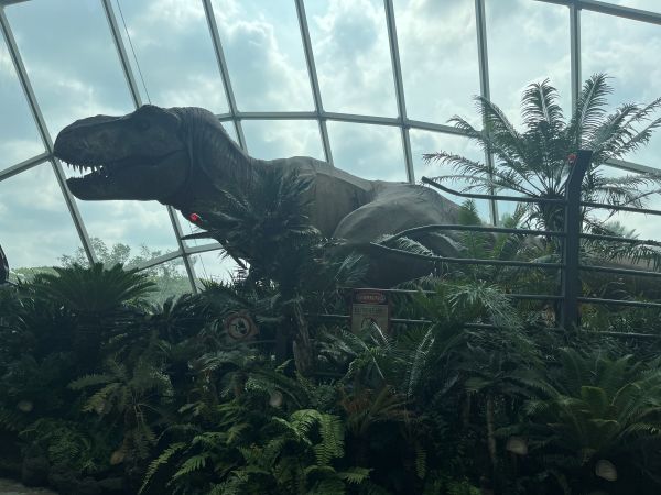 Cloud Forest - Jurassic