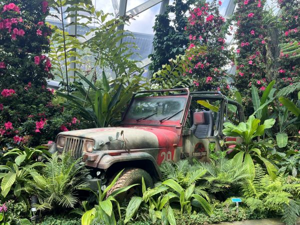 Cloud Forest - Jurassic