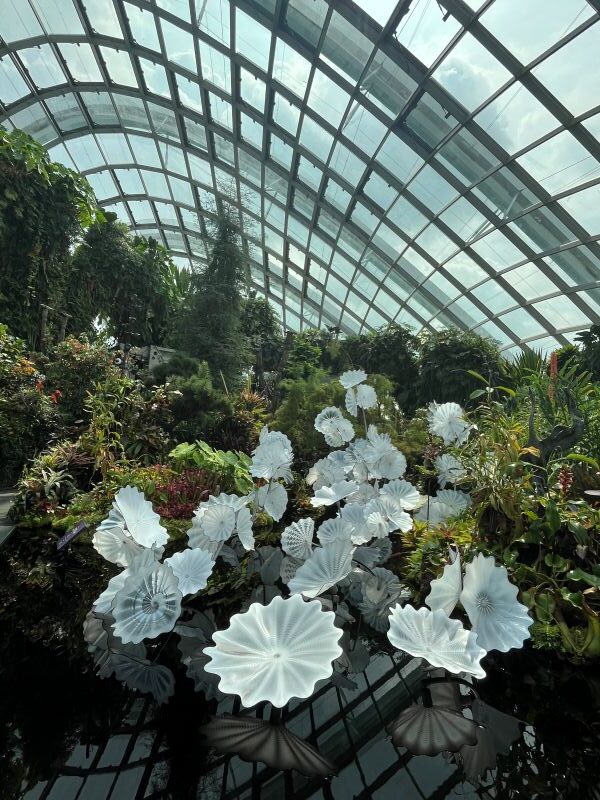 Cloud Forest - Jurassic