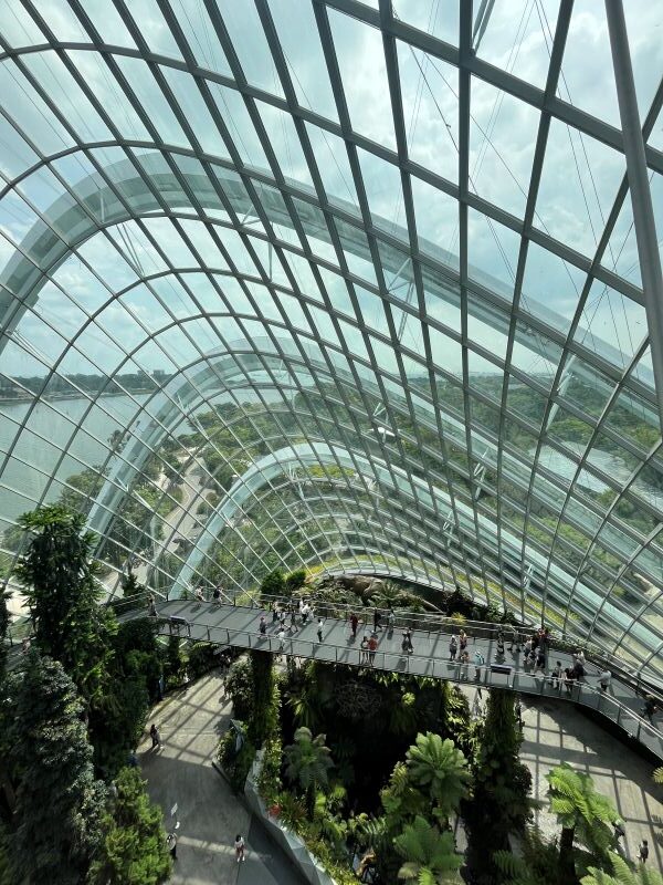 Cloud Forest - Jurassic