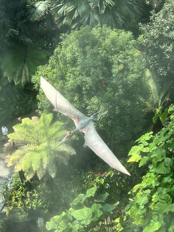Cloud Forest - Jurassic