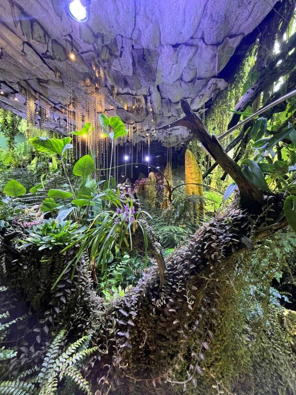 Cloud Forest - Jurassic