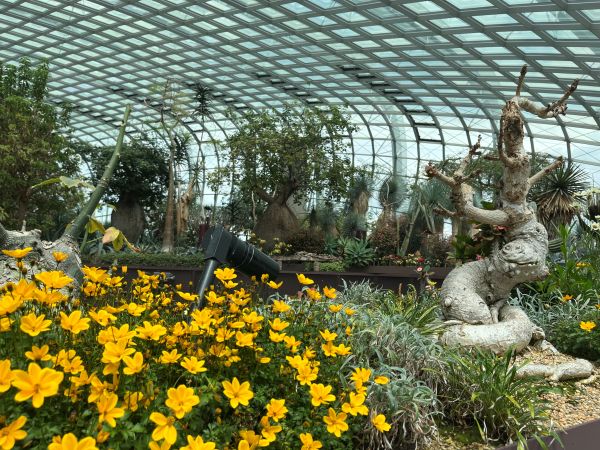 Flower Dome