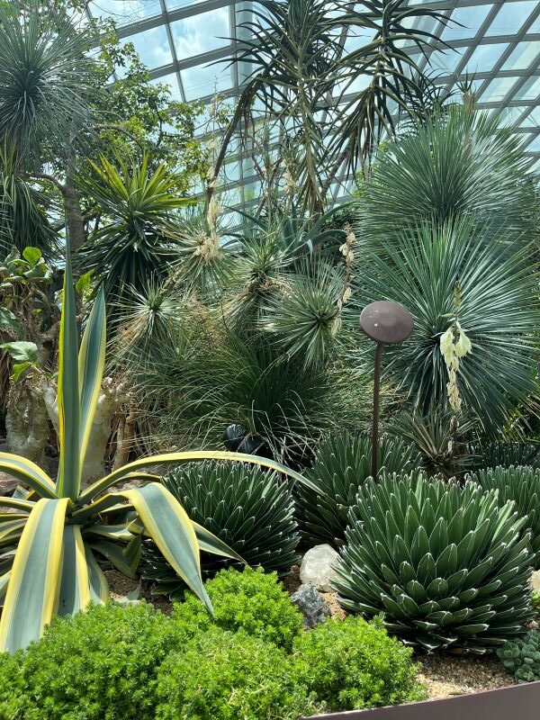 Flower Dome