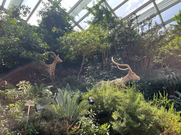 Flower Dome