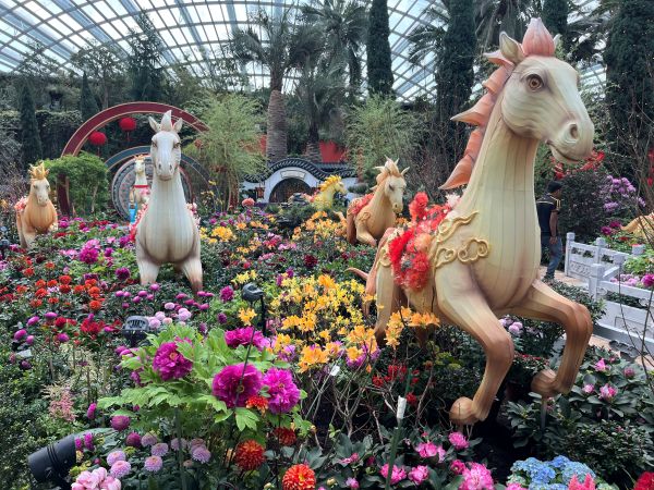 Flower Dome