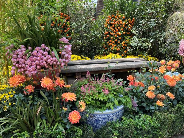 Flower Dome