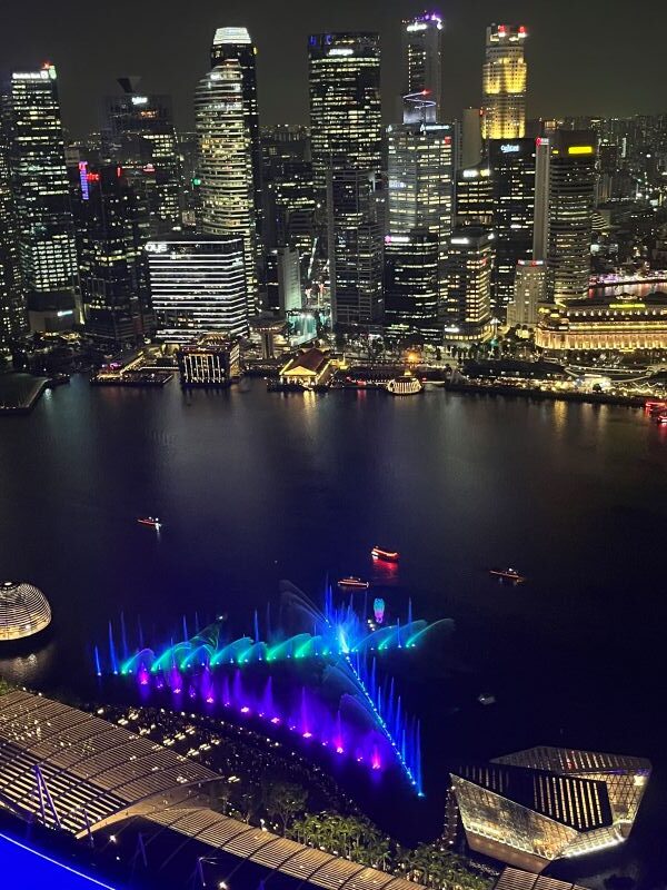 Marina Bay vue du top de l'hôtel Marina Bay Sands