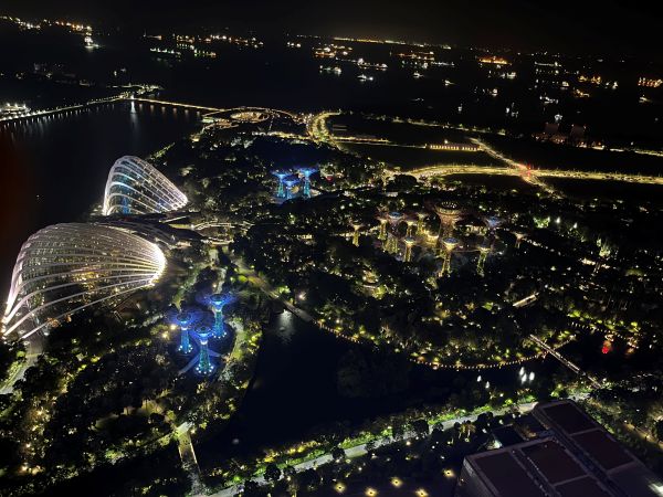 Gardens by the Bay by night