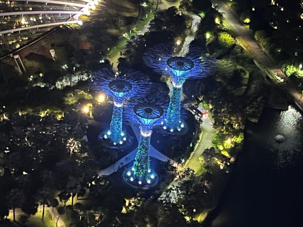 Gardens by the Bay by night