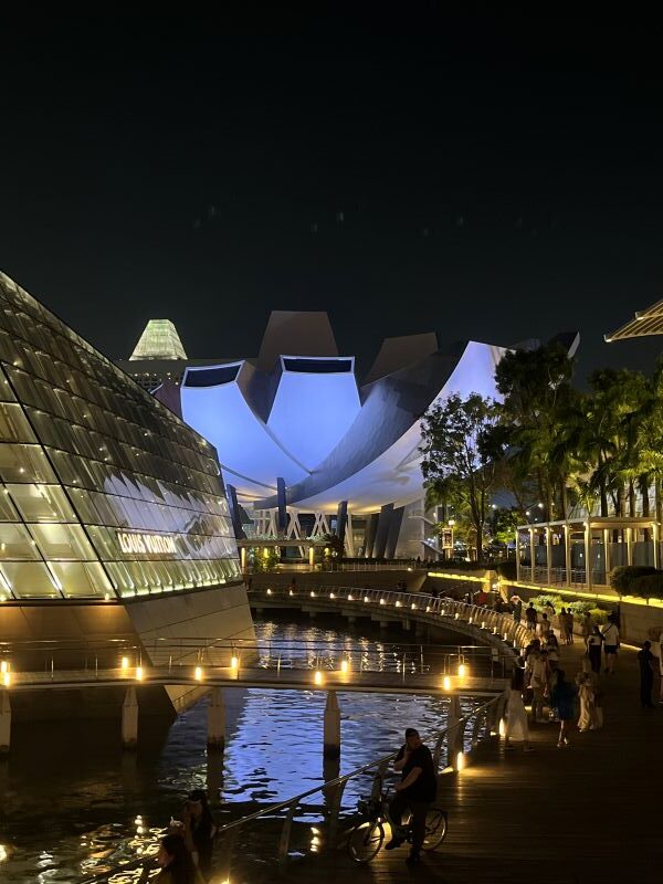 Musée ArtScience - lotus