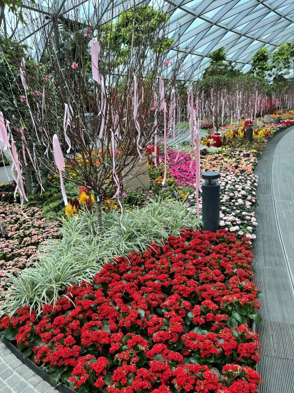 Jewel Changi