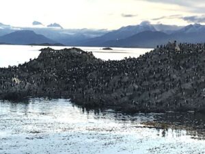 Ushuaia - Canal de Beagle