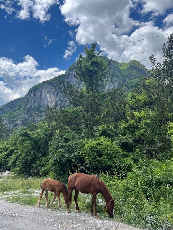 Alpes Albanaises - Thet