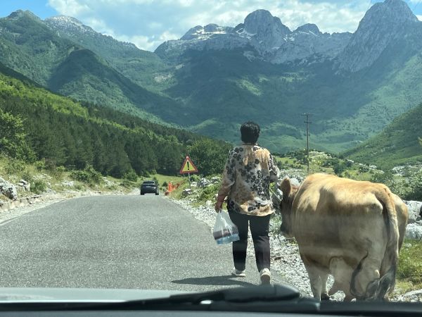 Alpes Albanaises
