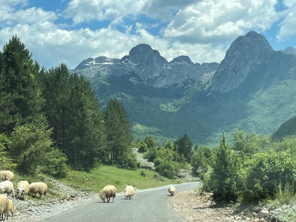 Alpes Albanaises