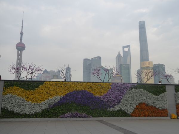 Baie de Shanghai