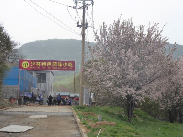 Shoalin Temple