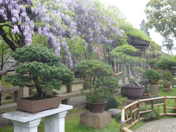 Suzhou - Jardin Liu