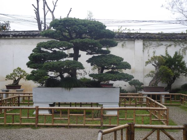Suzhou - Jardin Liu