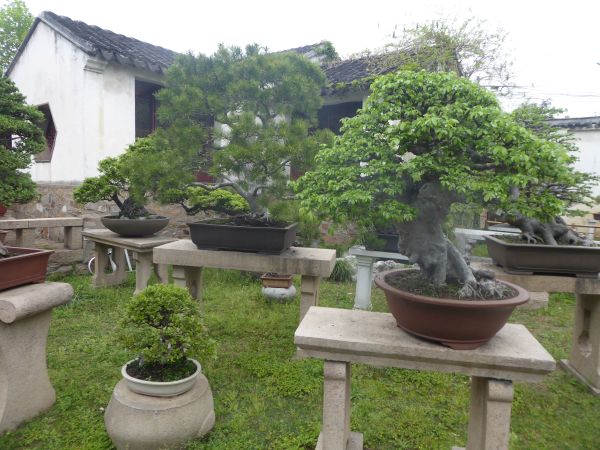Suzhou - Jardin Liu