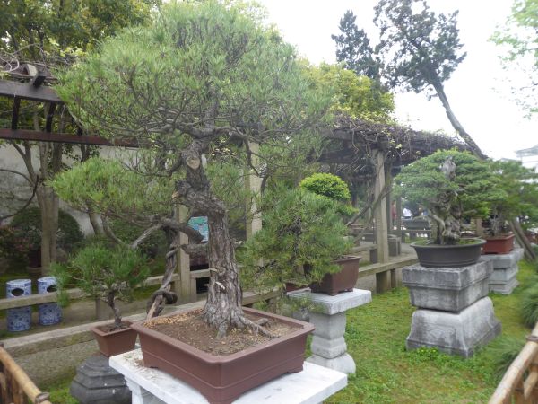 Suzhou - Jardin Liu