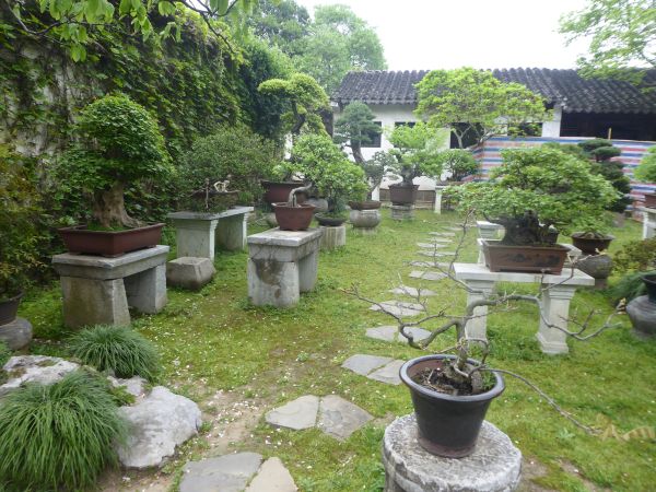 Suzhou - Jardin Liu
