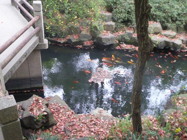 Suzhou - Jardin Liu