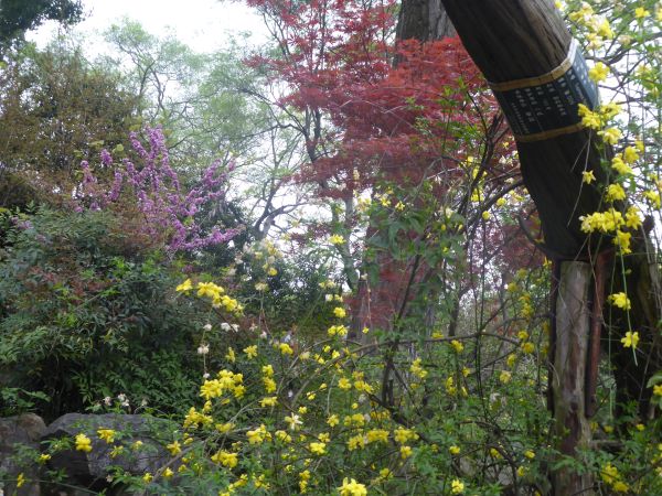 Suzhou - Jardin Liu