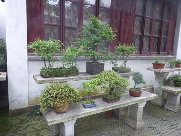 Suzhou - Jardin Liu